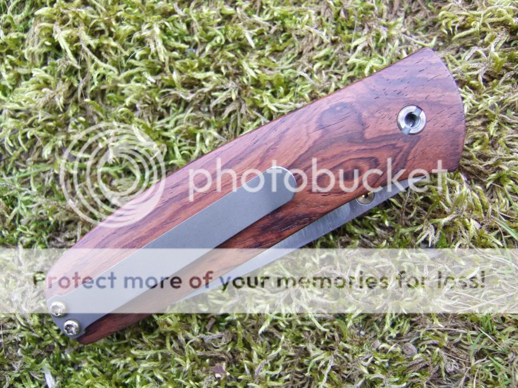 DSCF5113_zpse5a8fb3b.jpg~original