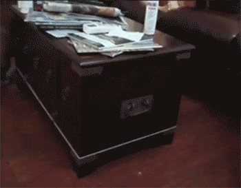 PerpetualMotionBulldog.gif~original