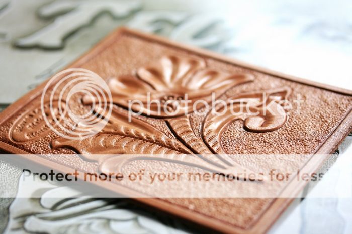 LeatherTradingCards004_zpsd442fa6d.jpg