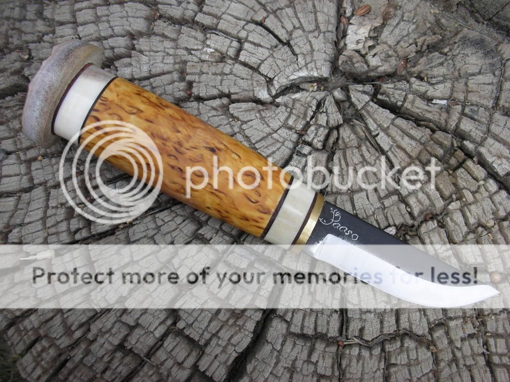 DSCN1457.jpg