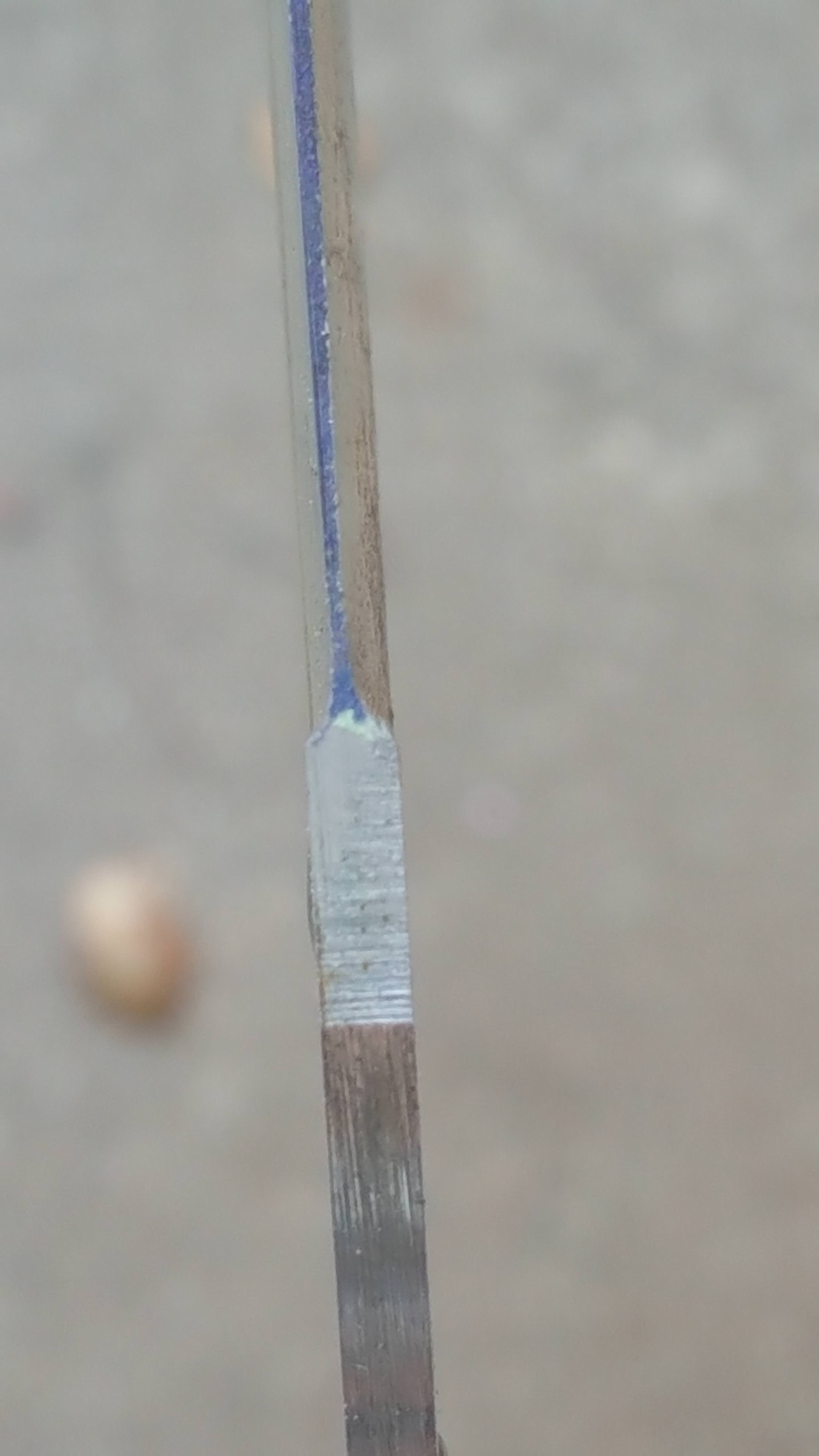 M7Q4x8n.jpg