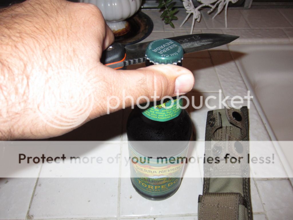 IMG_8770_zpsbafc5bc9.jpg