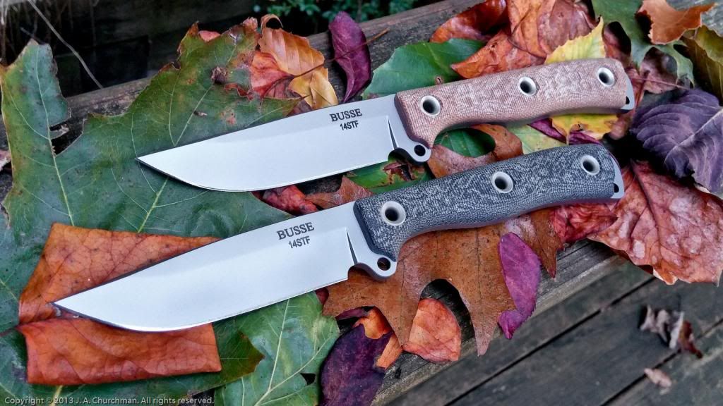 Busse-AMSMO_Pair-LG-1_zps95a2f7de.jpg