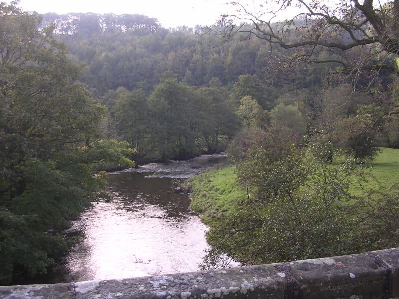 DSCN2905.jpg