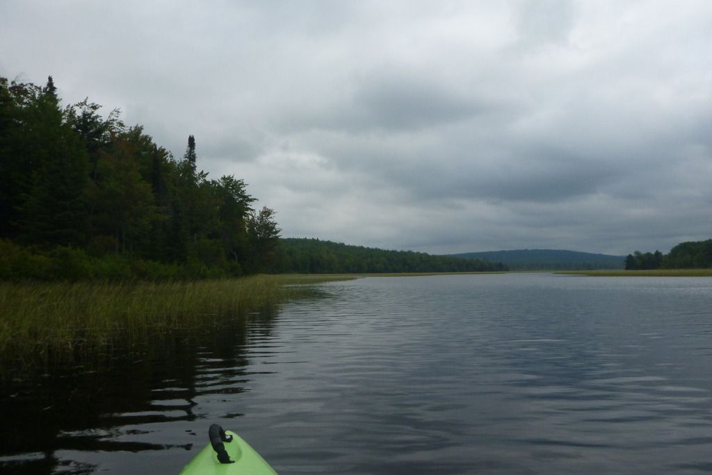 P1030227.jpg