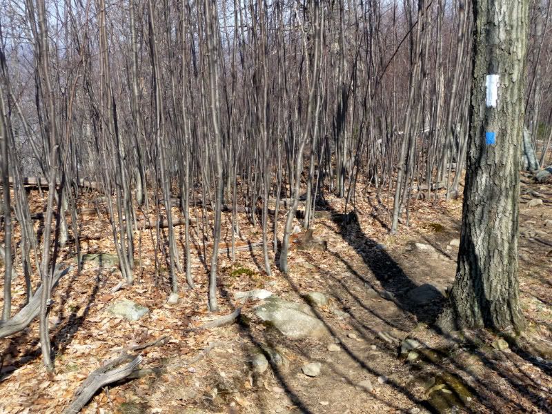 westmtn034.jpg