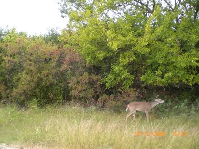 AbileneTripOctober2008180.jpg