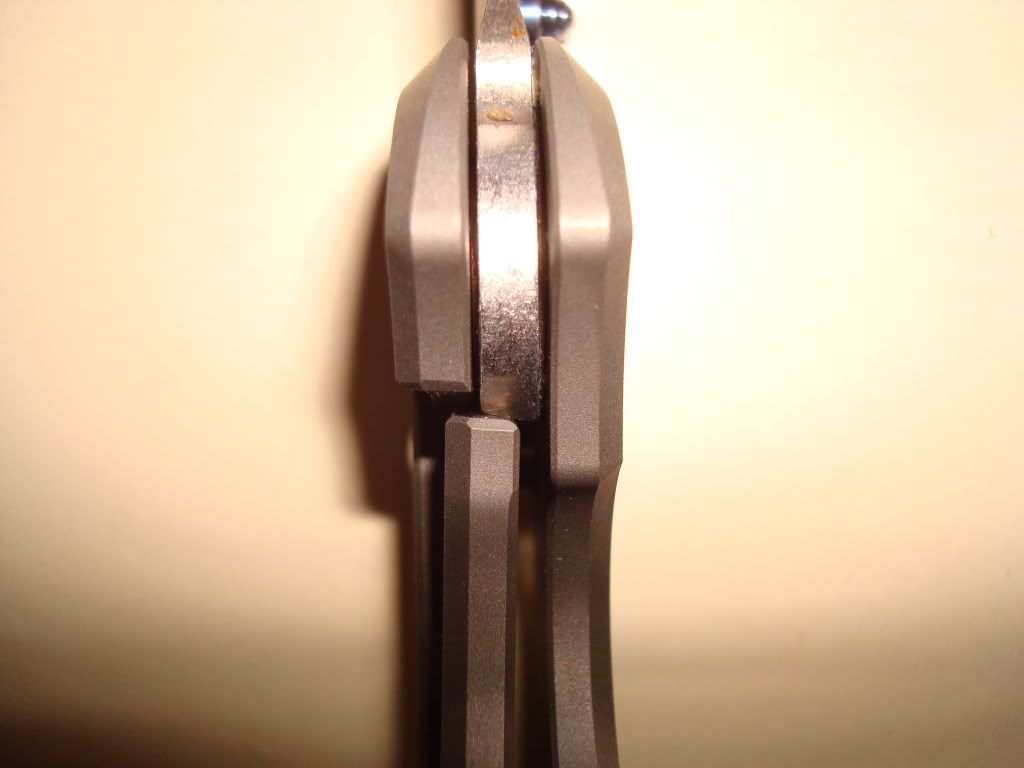 DSC00972.jpg