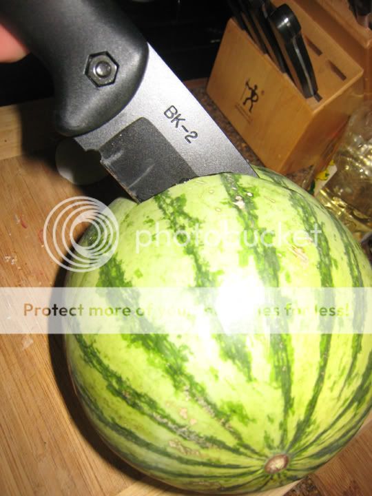 melon3.jpg