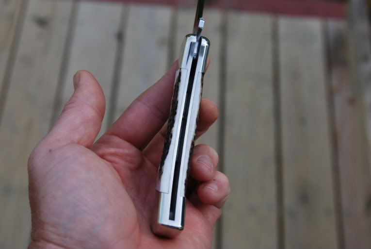 DSC_1157.jpg
