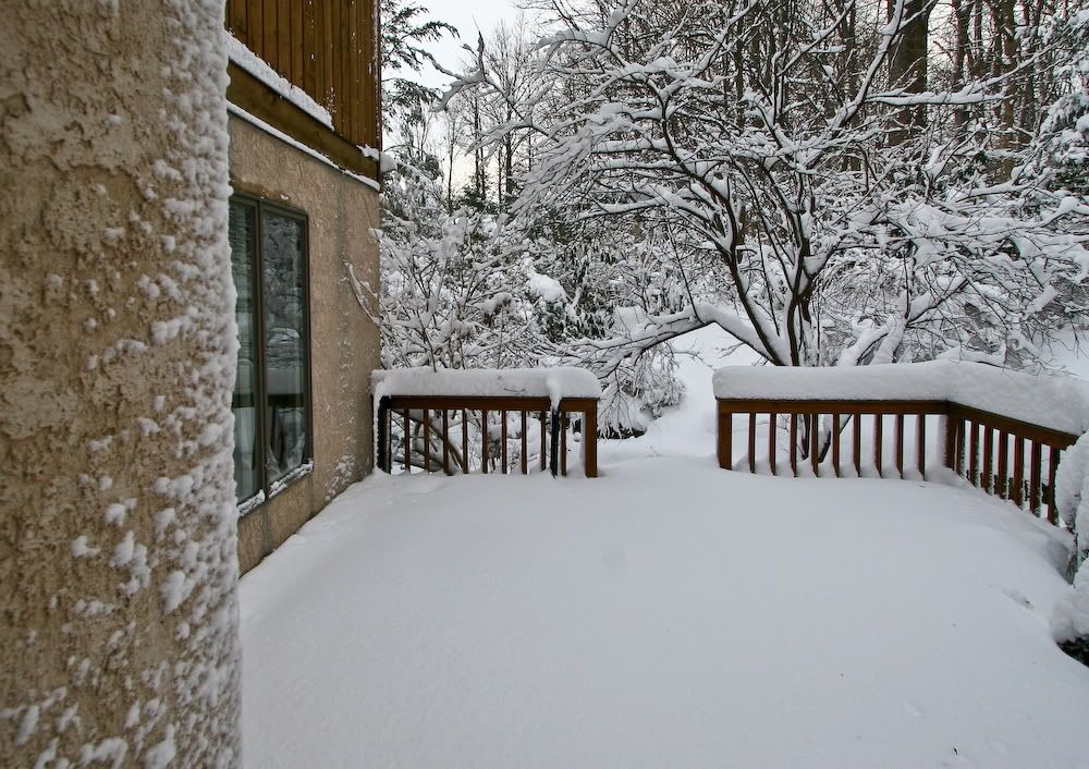 Snowstorm_1-27-11f.jpg