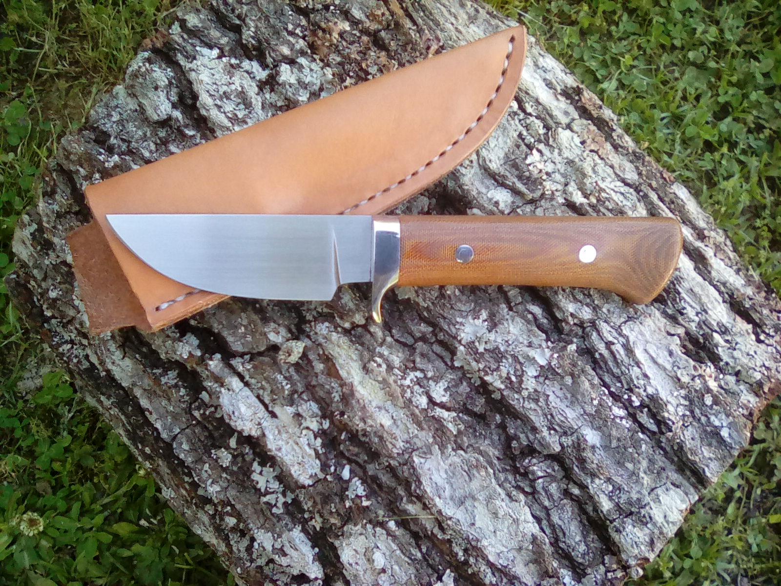 jr8StX6.jpg