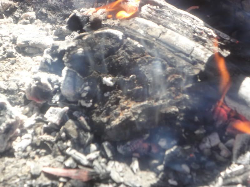 Tinafire014.jpg