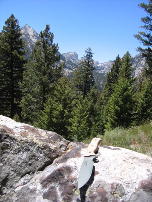 satinjackonthemountaintrailreduced.jpg