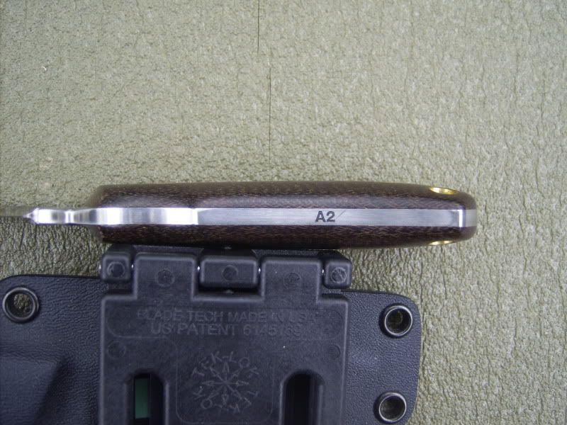 GEDC1208.jpg
