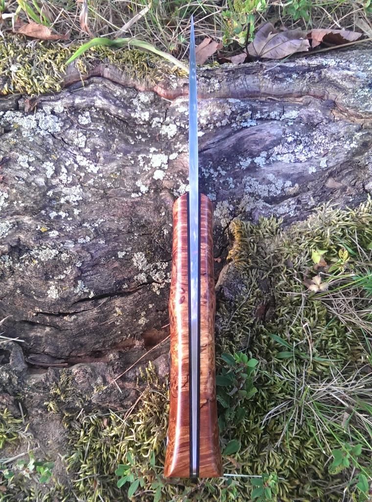 IMAG0301.jpg