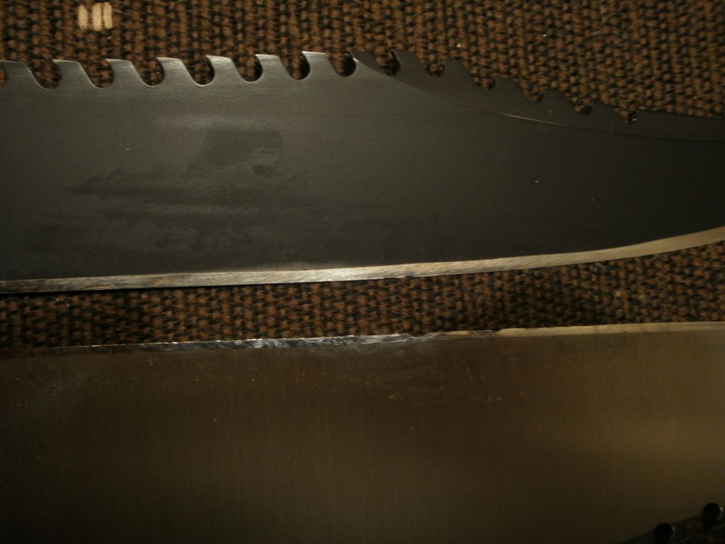 PA150224_zpsgznfbxwz.jpg