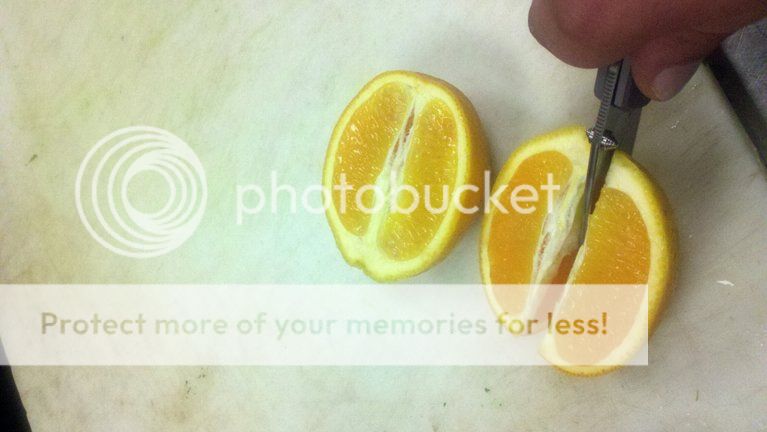 photobucket-24487-1339867607122.jpg