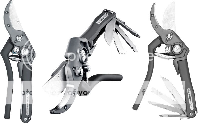 Leatherman_genus1.jpg