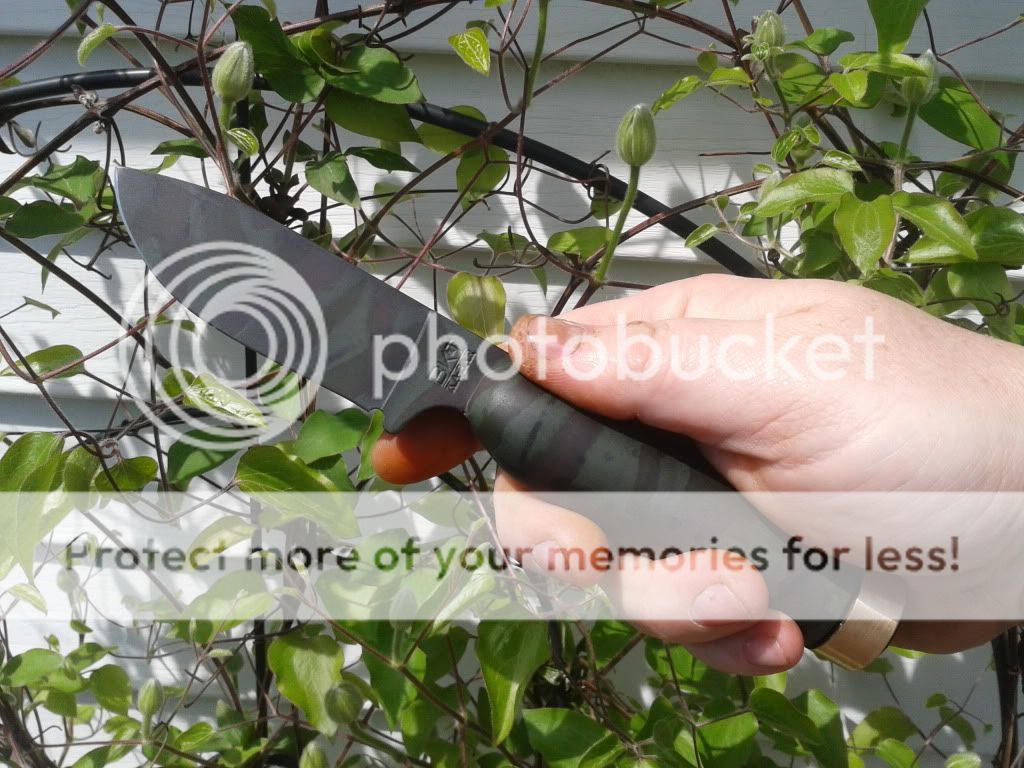 2013-04-21120704_zps7d25dfb8.jpg