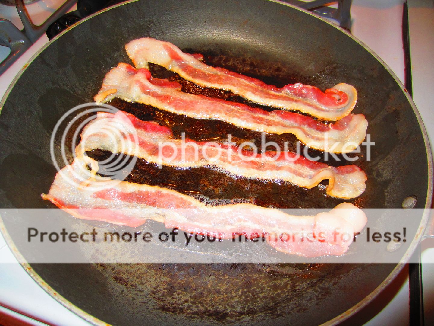 IMG_9126.jpg