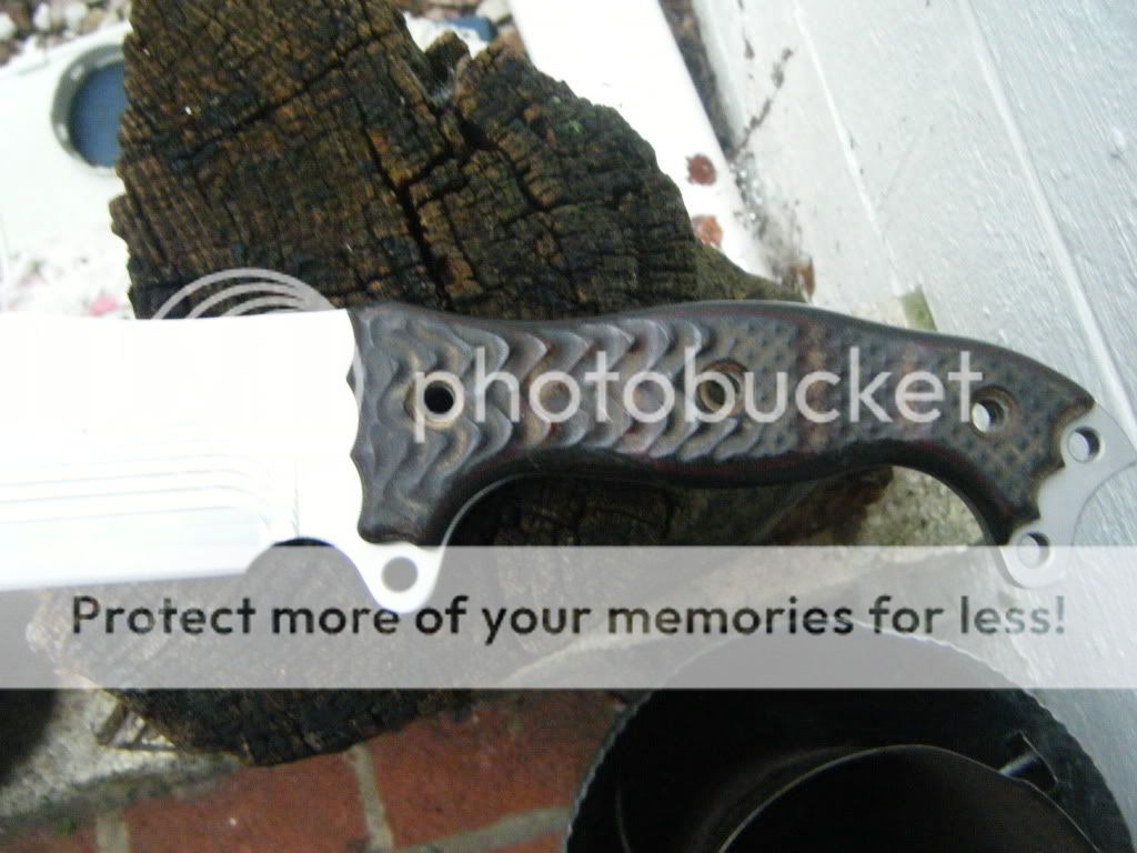 DSCF1198.jpg
