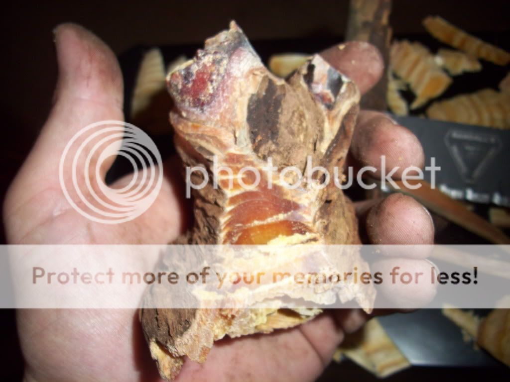 fatwood003.jpg