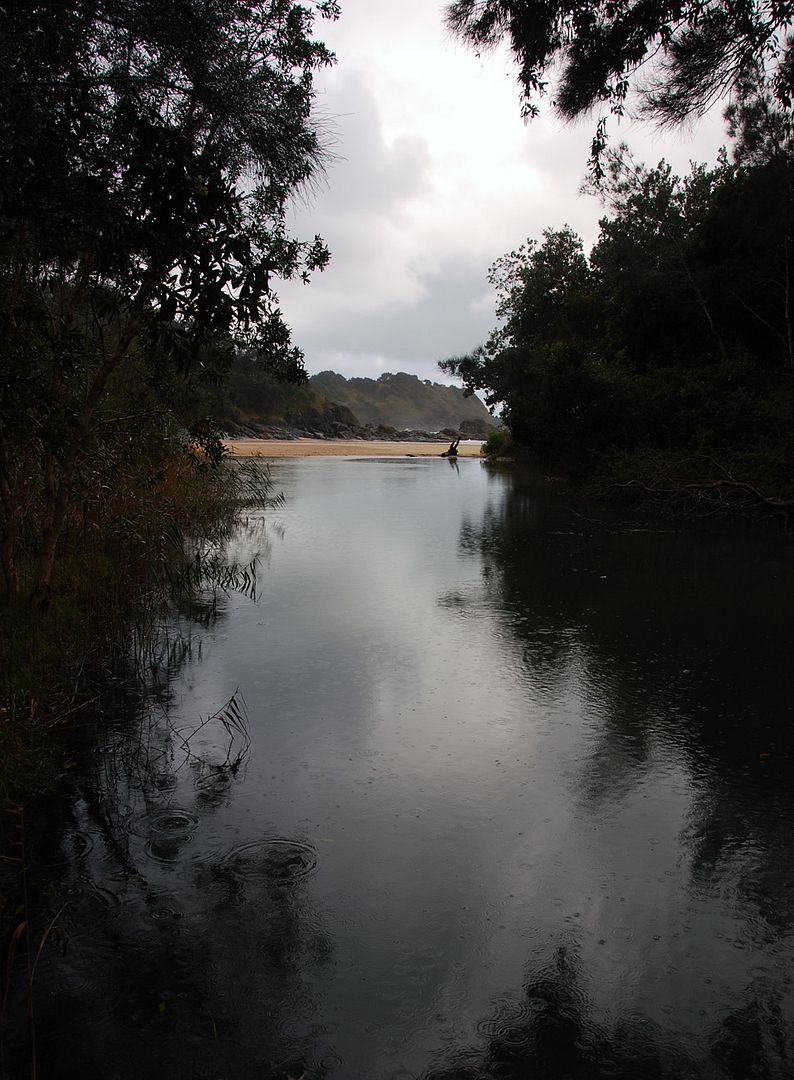Stream1.jpg