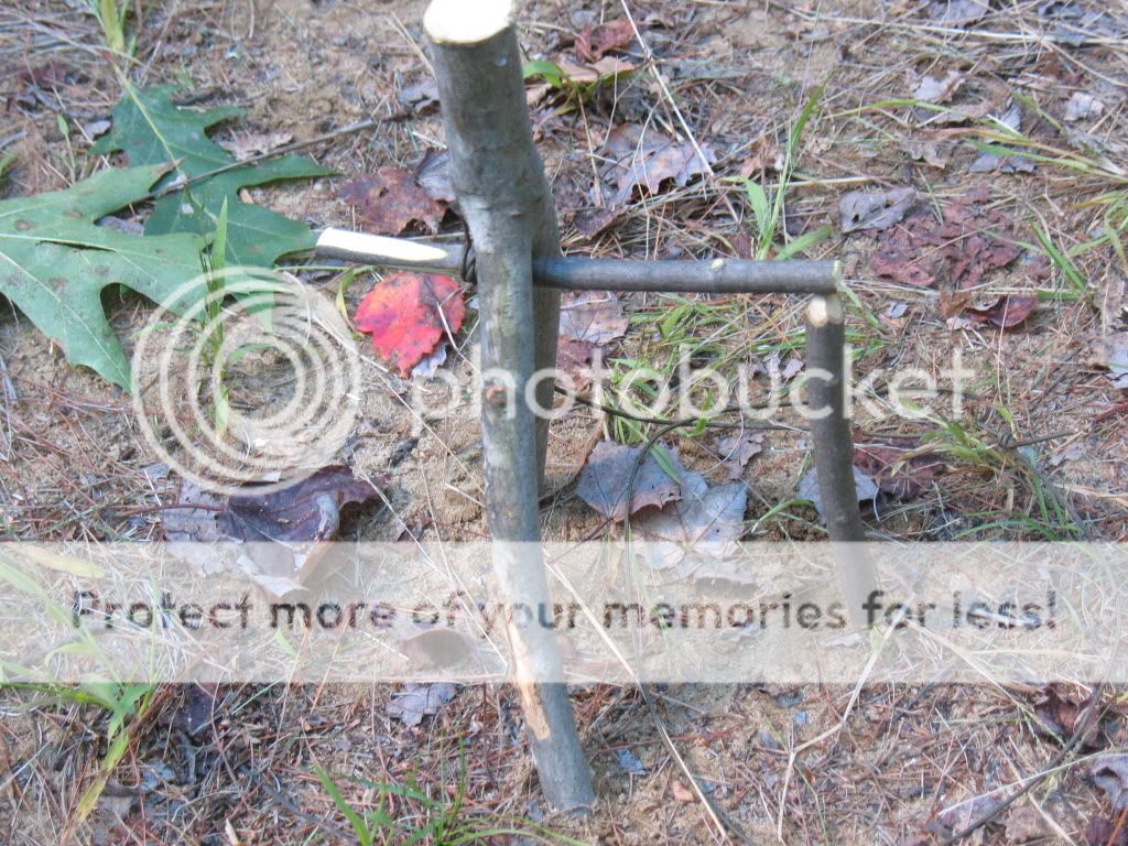 069_zps77255992.jpg