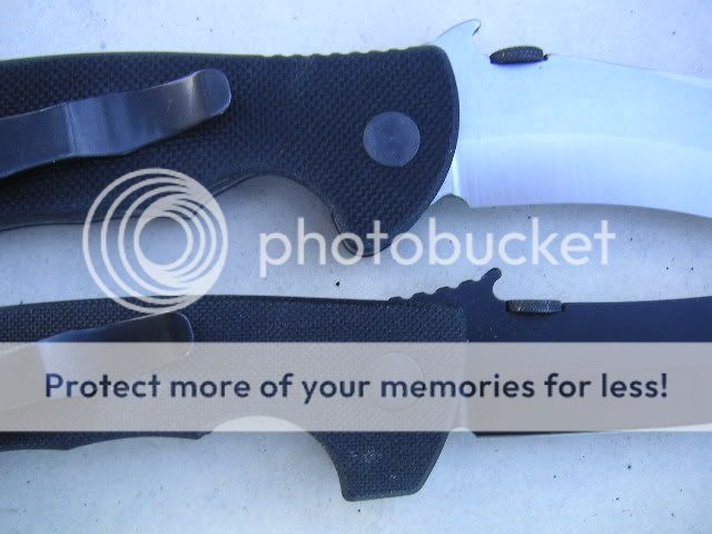 PICT0084.jpg