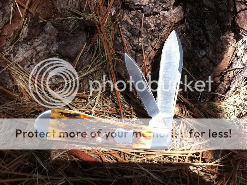 Photo1-6.jpg