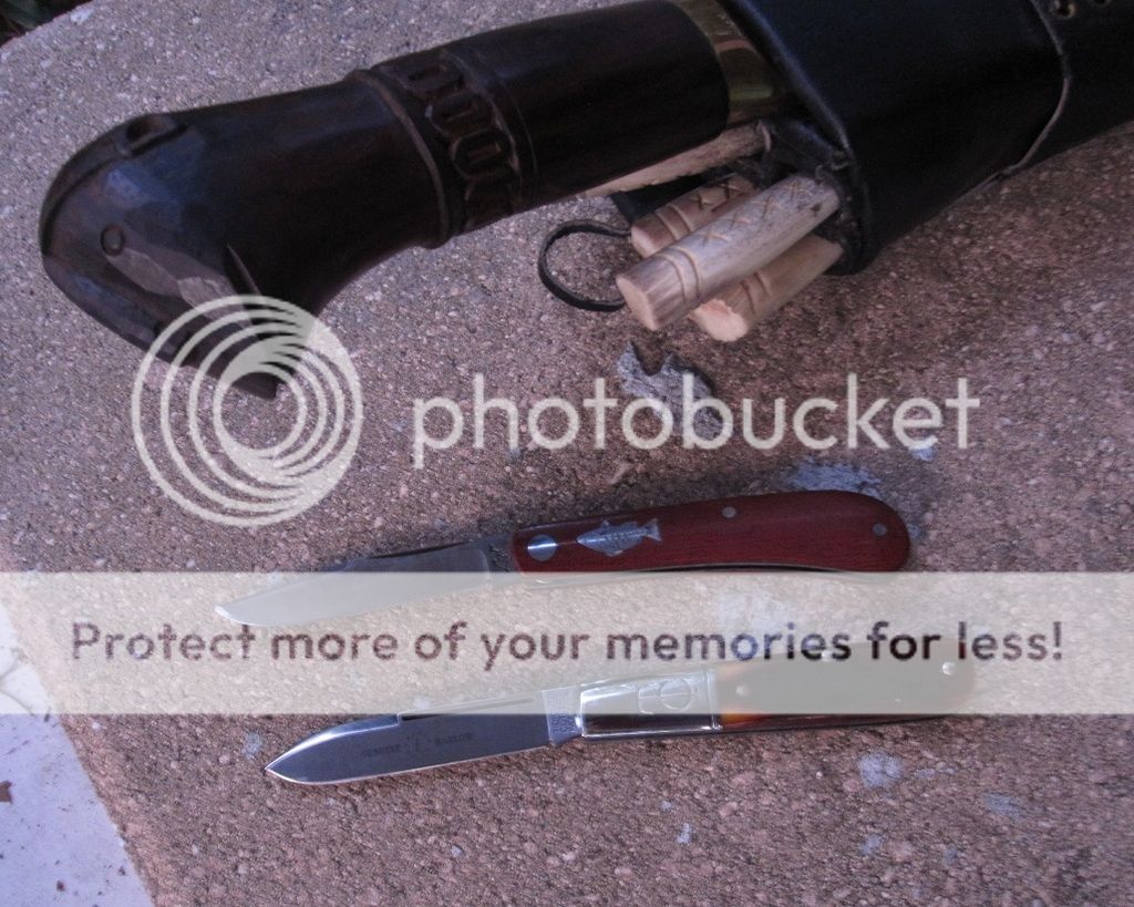 IMG_4485_zpsrkxrnloi.jpg~original