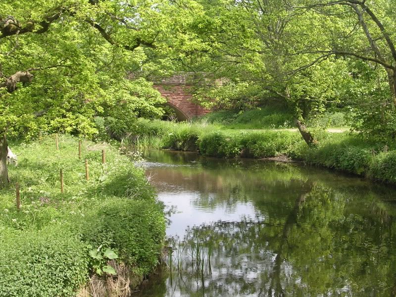 DSCN0945.jpg
