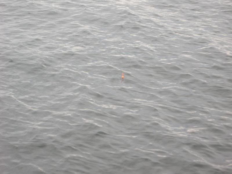 DSCN1598.jpg