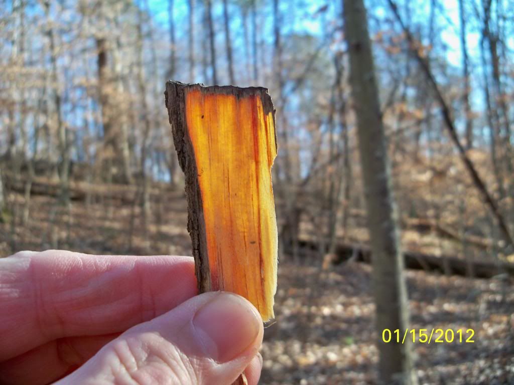 2012-01-15037.jpg