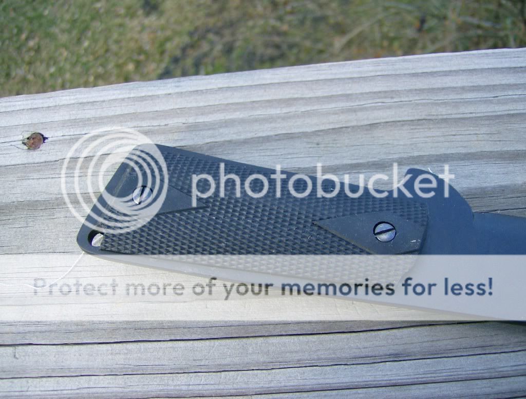 HPIM0565.jpg
