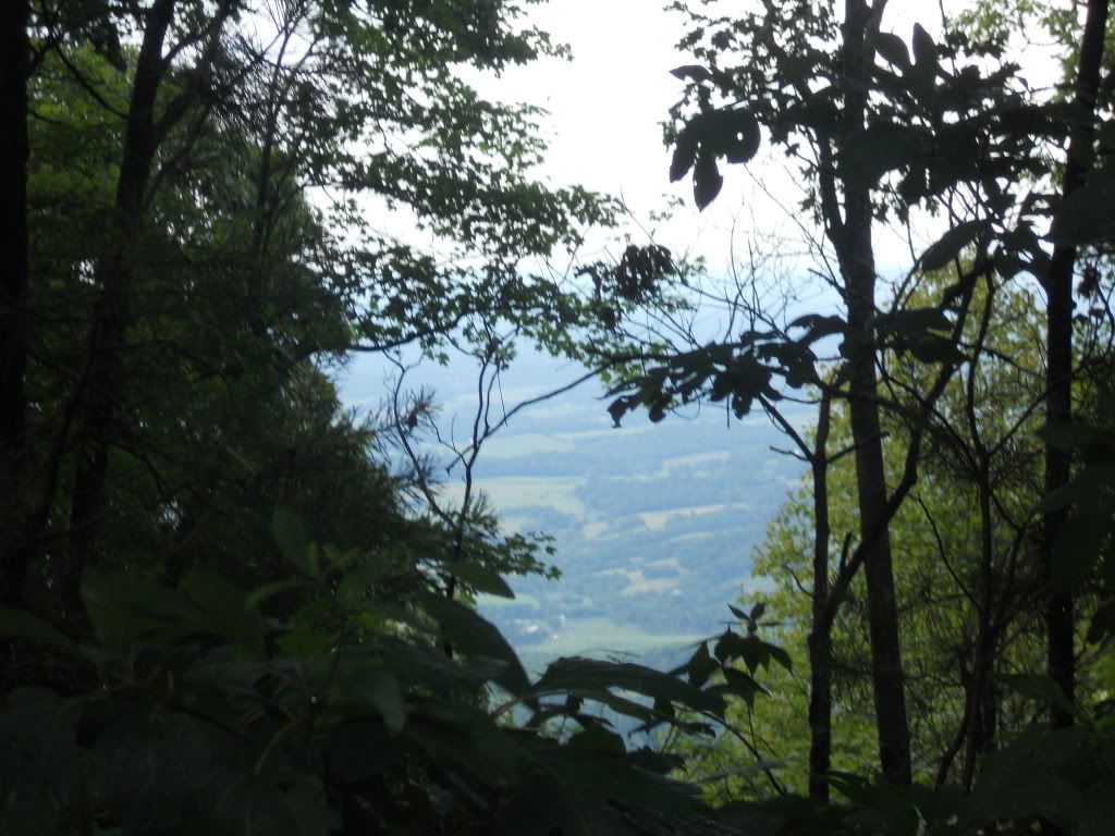DSCN0583.jpg