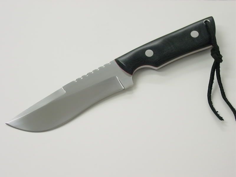 deannesrecurve005.jpg