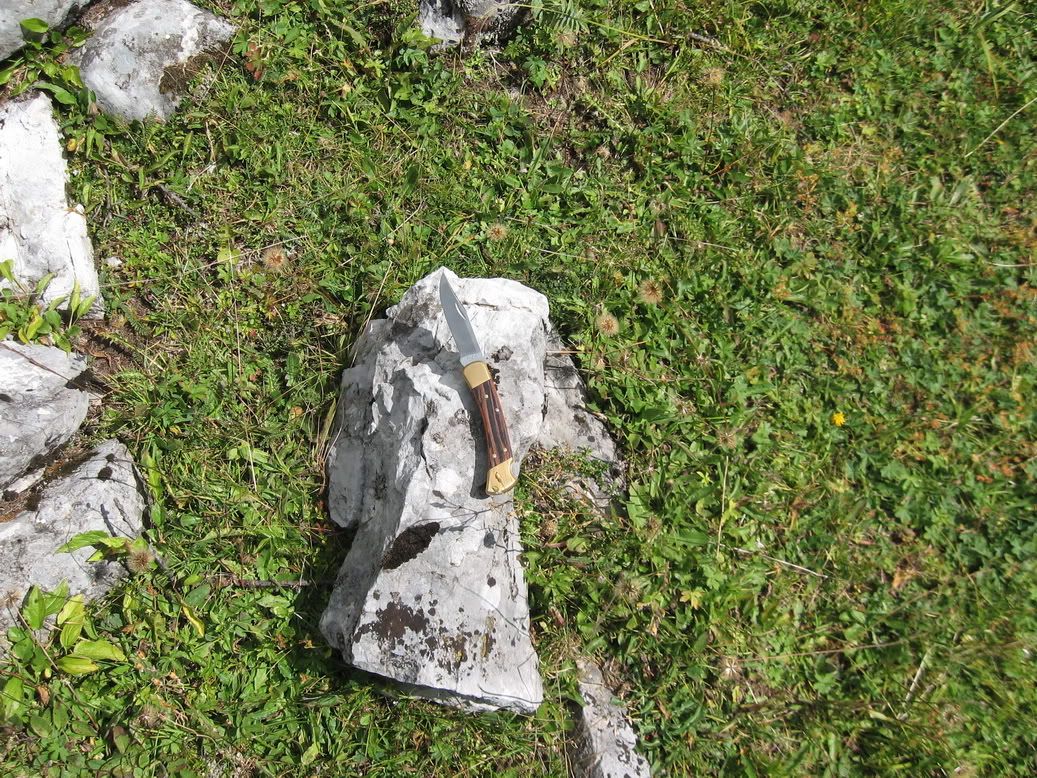 IMG_1934_resize.jpg