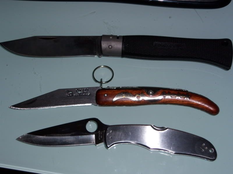 Okapi002.jpg