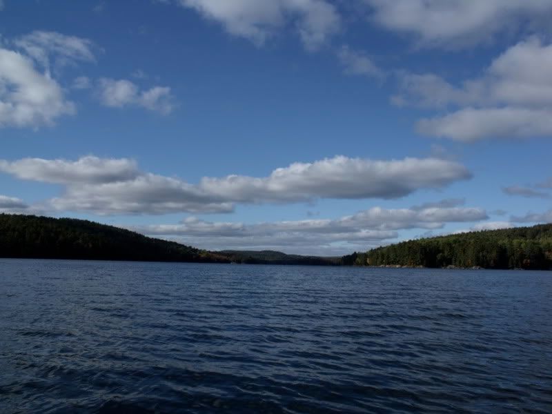 FallPetun050.jpg
