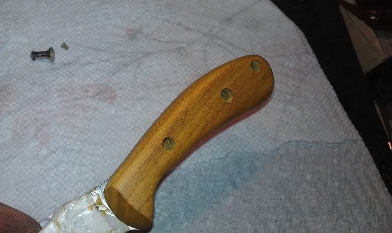 IMAG0330.jpg