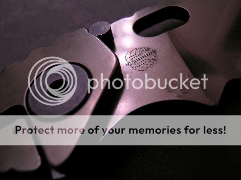 DSCN3170_zpsfwupg5gn.jpg