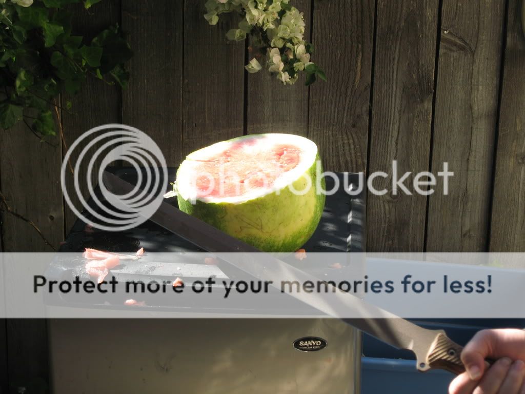 cleanslice-1.jpg
