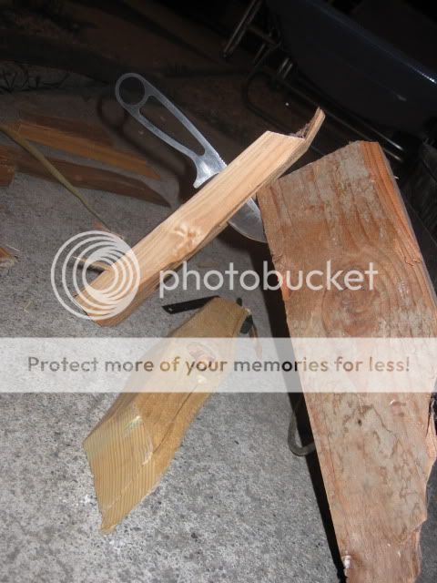 IMG_3920.jpg