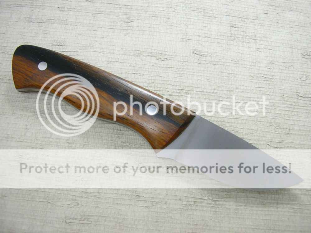 IMGP2137_zps3f20dcae.jpg