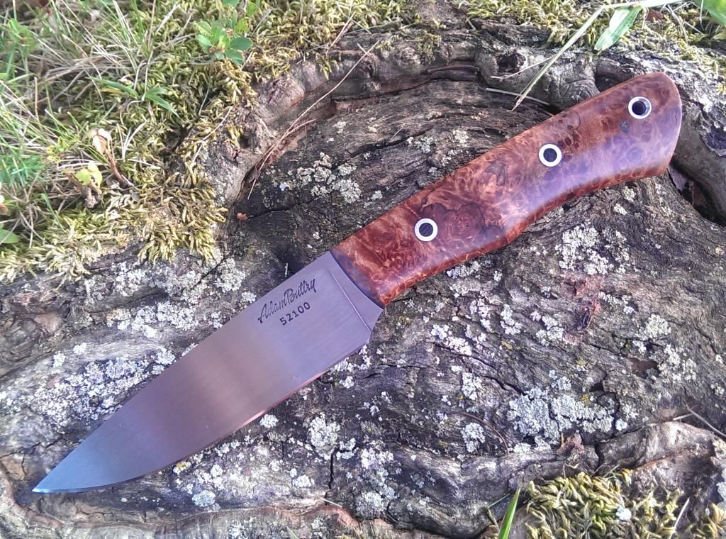 IMAG0296.jpg