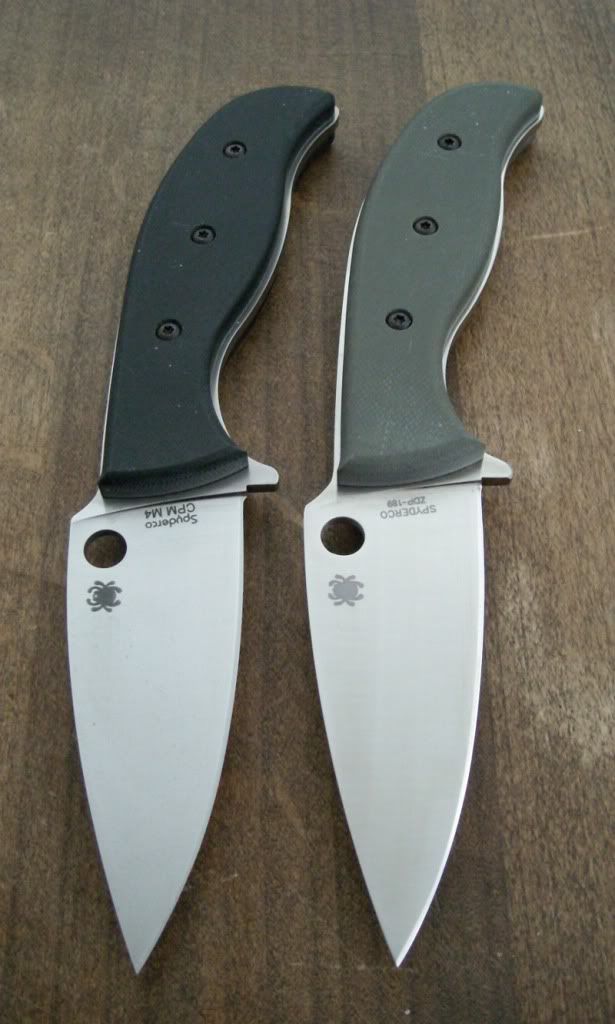mule-halpern008.jpg