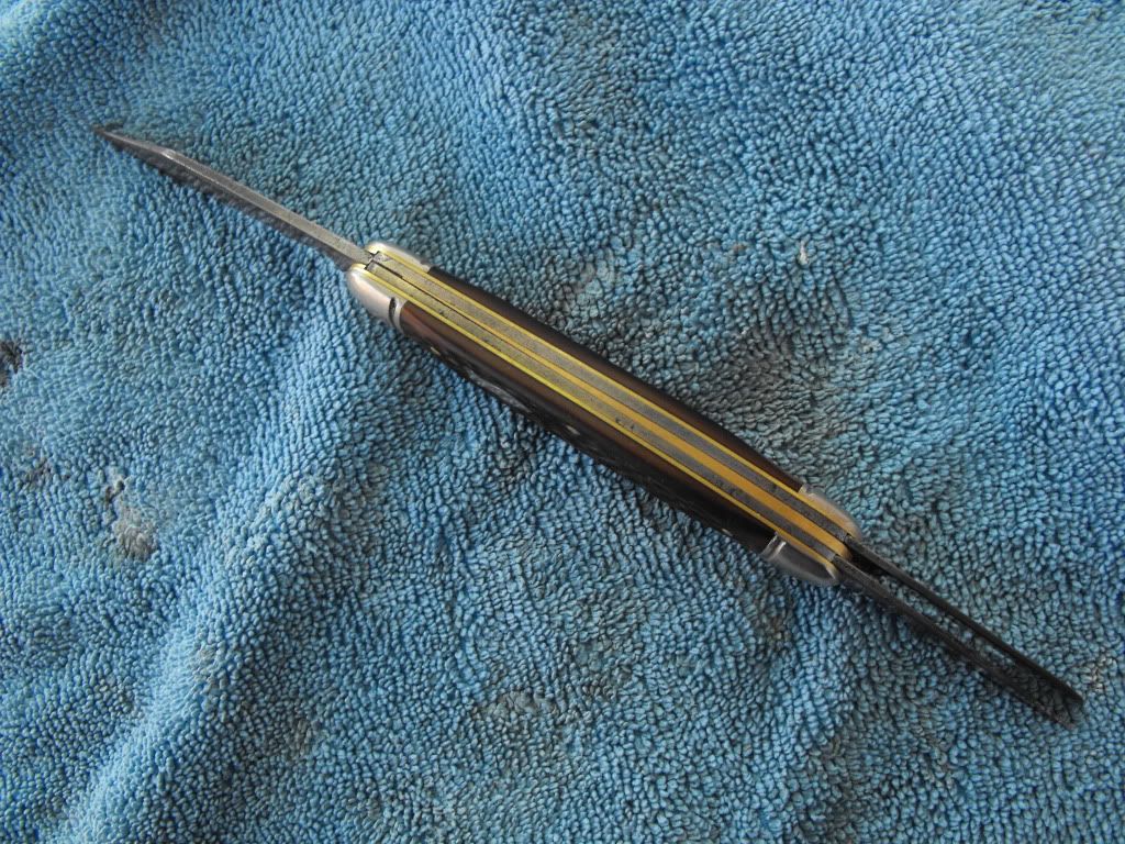 DSCF0709.jpg