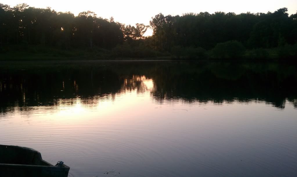 pond1.jpg